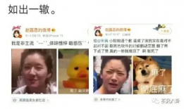 吃瓜吐槽娱乐圈文,吃瓜群众吐槽大会