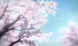 漫画樱花,春日里的浪漫诗篇